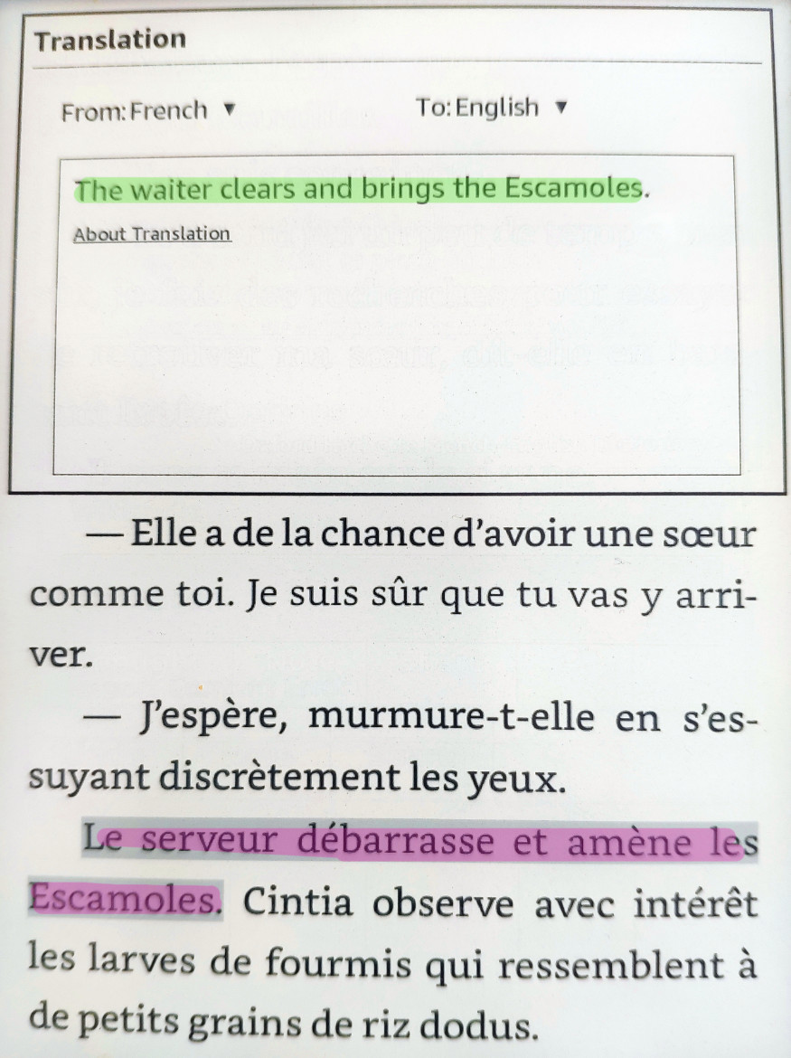 tłumaczenie zdania w Kindle