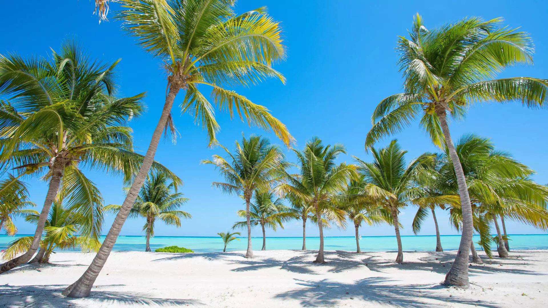 Jak w UK kupić tanie wakacje?